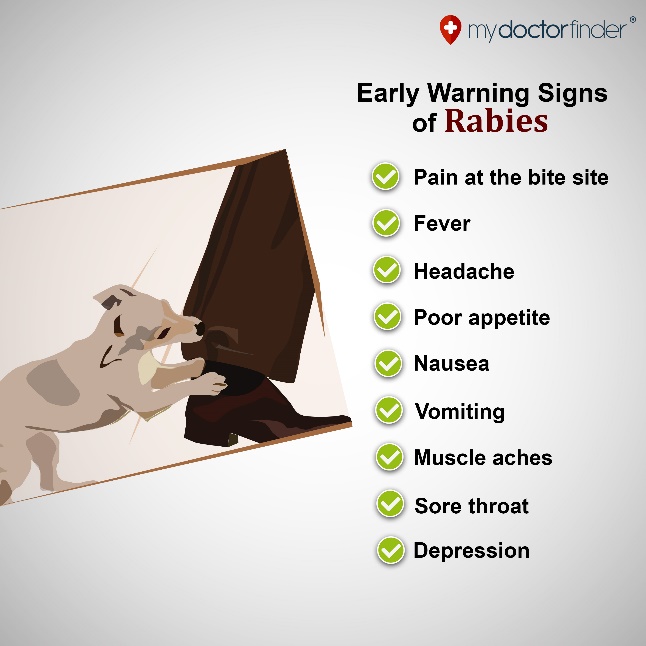 9 Warning Signs Of Rabies Mydoctorfinder