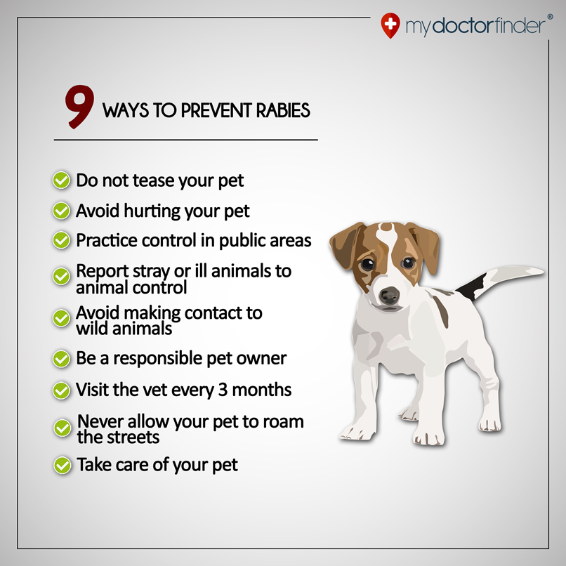 9 Ways to Prevent Rabies